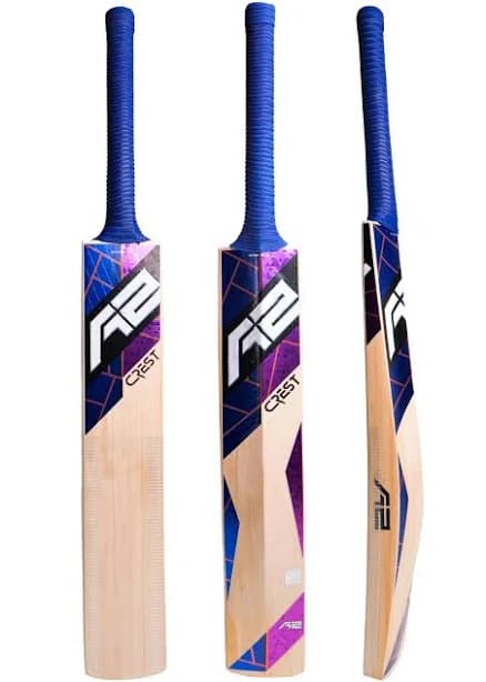 Kashmir Willow Cricket Bat