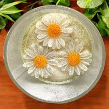 White Daisy Candle | Fresh Floral Scented Candle – LITTLE HOPE