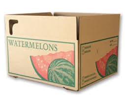 2 Pack Watermelon | Del Tho Industries