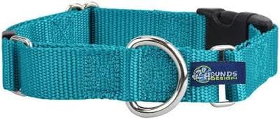 Teal Nylon Buckle Martingale Dog Collar