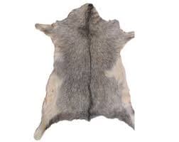 Natural Goatskin Rug, Goat Hide, Goatskin Pelt ,genuine Leather, Goatskin Rug, 100x70cm, 3,3x2,3 Ft - Etsy