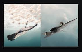 FIMI Manta VTOL Drönare – RCDrone