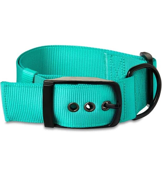 Vibrant Life Adjustable Dog Collar