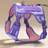 Video frame trigger