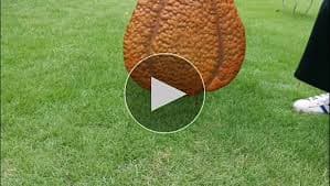 Amazon.com: Veclotch Pumpkin Garden Stake Metal Pumpkin Yard Sign Fall Decor, Decorative Garden Decor Pumpkin Outdoor Stakes for Autumn Harvest Thanksgiving Halloween Rustic Pumpkin Decoration for Home : Patio, Lawn & Garden