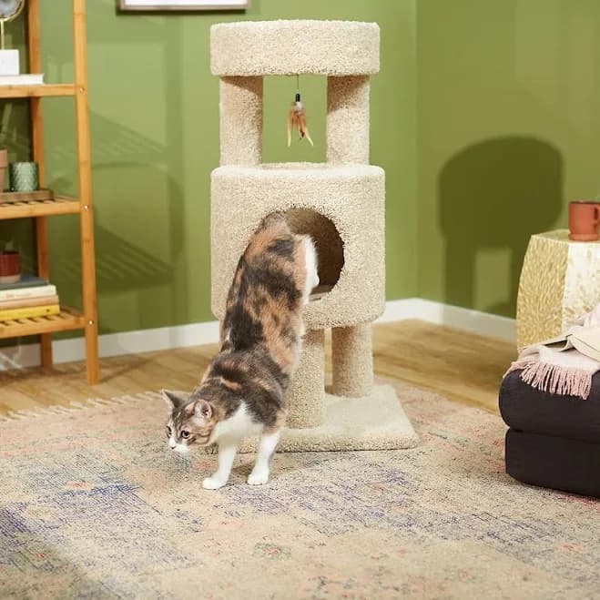 Frisco 36-in Real Carpet Wooden Cat Tree with Condo
