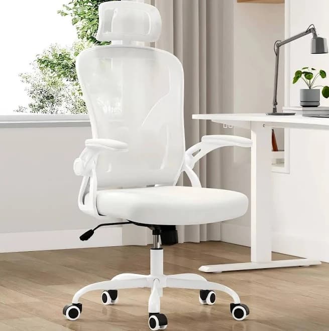 PetriMins Ergonomic Office Chair