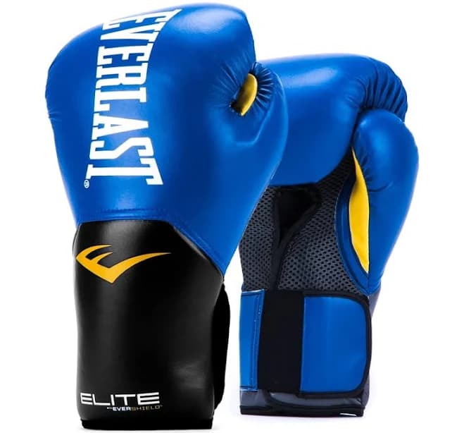 Everlast ProStyle Elite v2 Training Boxing Gloves