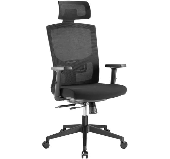 Workstream WFH Ergonomic Office Chair