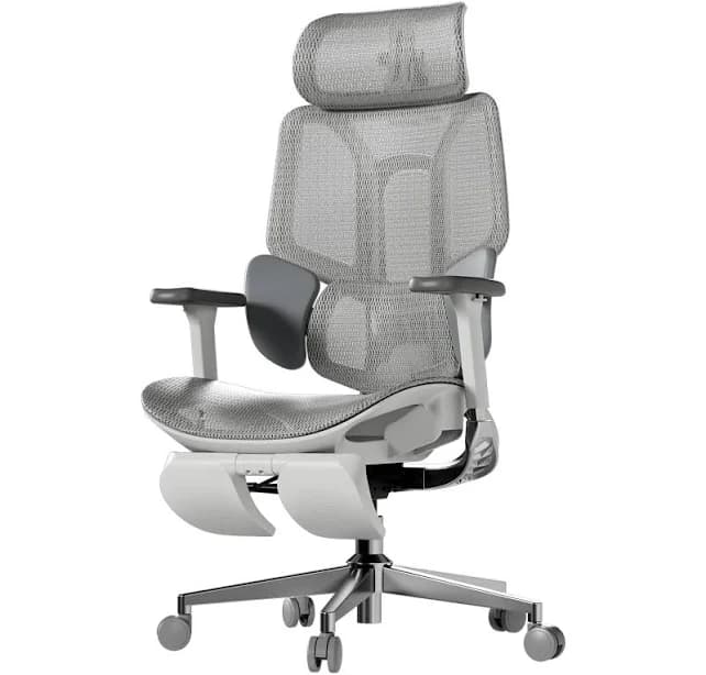Hbada E3 Ergonomic Chair