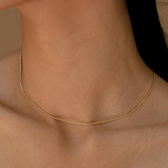 Caitlyn Minimalist Alice Sterling Silver Snake Chain Necklace
