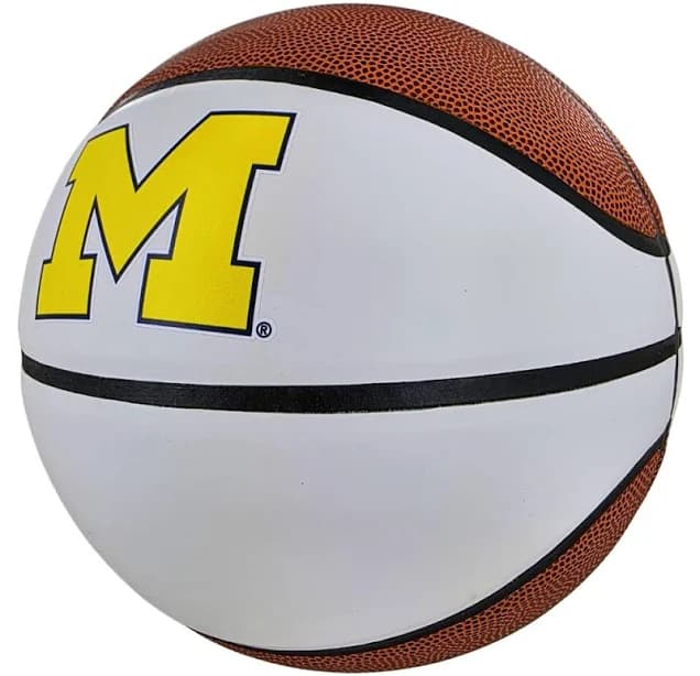 Michigan Wolverines Official Full Size Autograph Basketball
