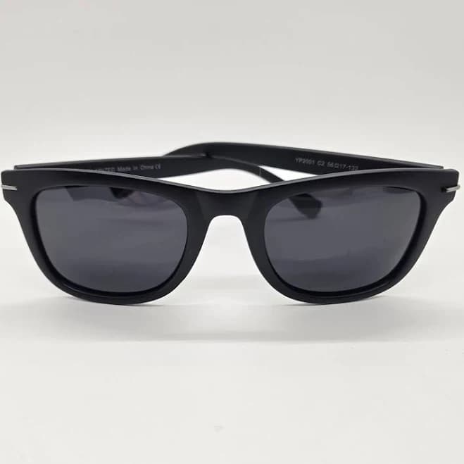 Wayfarer Matte Rubberized Sunglasses