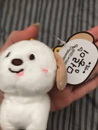 RIIZE | 라이즈 Sealed Riize doll 10cm Tonyangdeok Meongryongi WTS at cost on Bunjang Global Site.