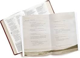 David - Bible Study Book (Updated Edition): Seeking a Heart Like His: Moore, Beth: 9781415869482: Amazon.com: Books