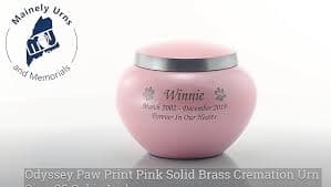 Amazon.com: Pet Urn for a Dog, Cat or Other Small Animal - Odyssey Small Solid Brass Pet Cremation Urn with Pink Finish - 70 Cubic Inch Capacity - with Threaded Lid : Home & Kitchen