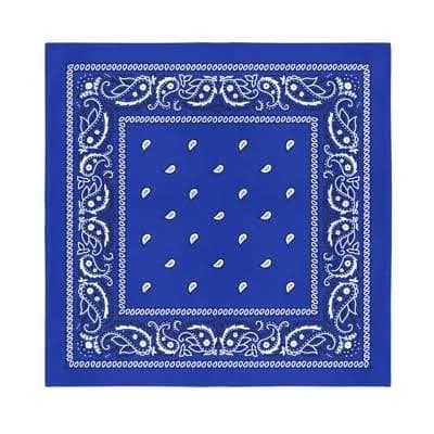 Balec Men's Paisley Cowboy Western Bandanas (6 Pack)