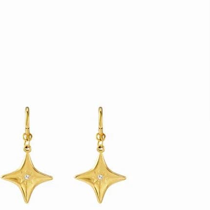 Stainless Steel Star-Shaped Drop Earrings