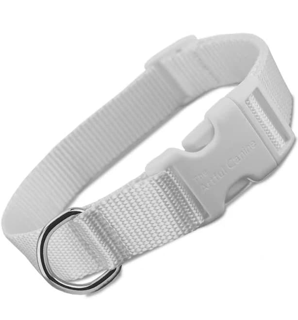 White Nylon Dog Collar