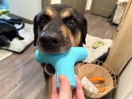 BARK Trixel Extra Large Super Chewer Nylon Dog Toy, Tough Chew - Walmart.com