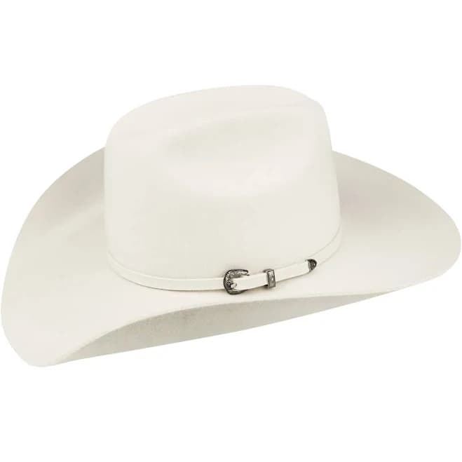 Bailey Luzerne Cowboy Hat