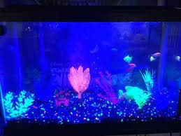Aqueon LED Aquarium Max Blue Light Bulb Replacement, 20" L | Petco