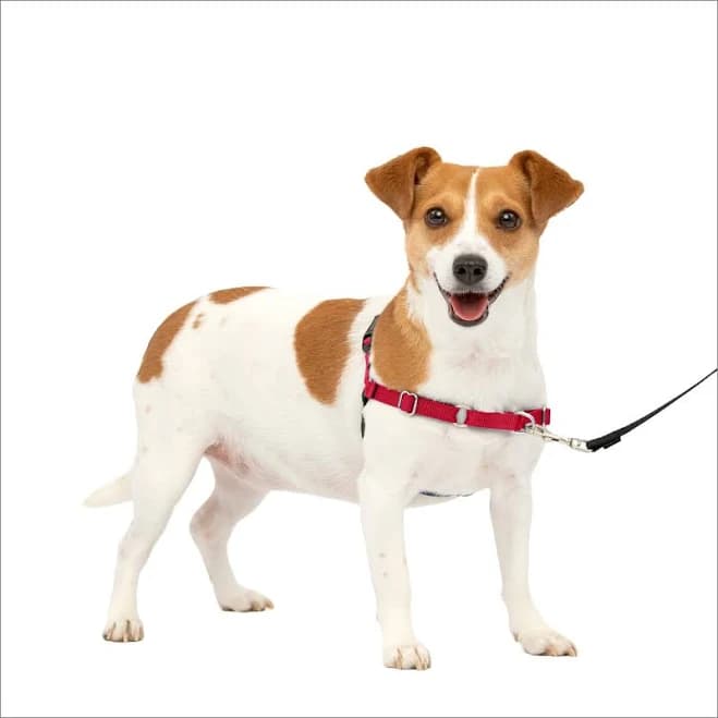 Dog harness PetSafe Easy Walk