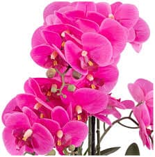 Amazon.com: Dahlia Studios Potted Silk Faux Artificial Flowers Arrangement Realistic Pink Orchid in White Ceramic Oval Pot for Cottage Core Home Decoration Living Room Office Bedroom Bathroom Kitchen 28" High : Home