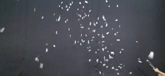 Money Confetti Cannon - Customized Party Fun for Any Occasion