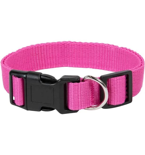 Pet Champion Collar