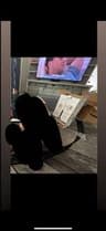 Video frame trigger
