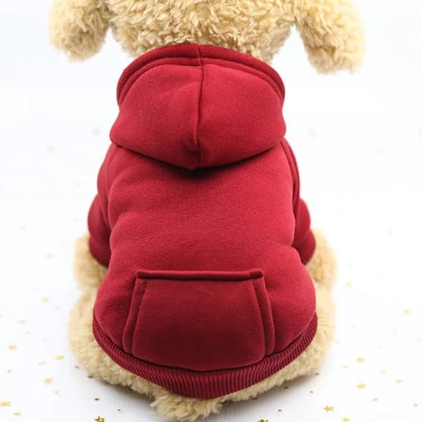 Colorful Cozy Dog Hoodies