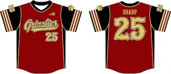 Grizzlies Baseball Custom Baseball Jersey #3D