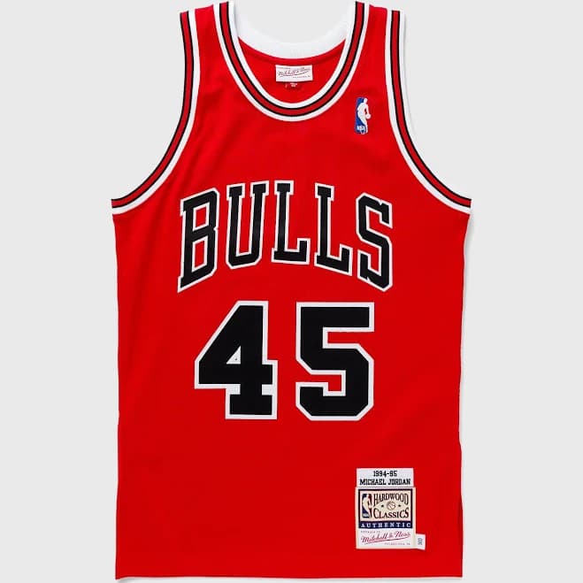 men Authentic Jersey Chicago Bulls 1994-95 Michael Jordan