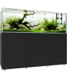Video frame trigger