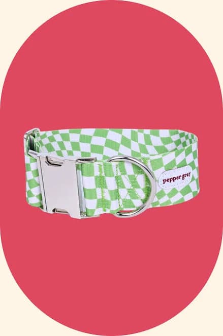 Pepper Grey Cookie Wavy Check Wide Dog Collar with Buckle Adjustable Collar