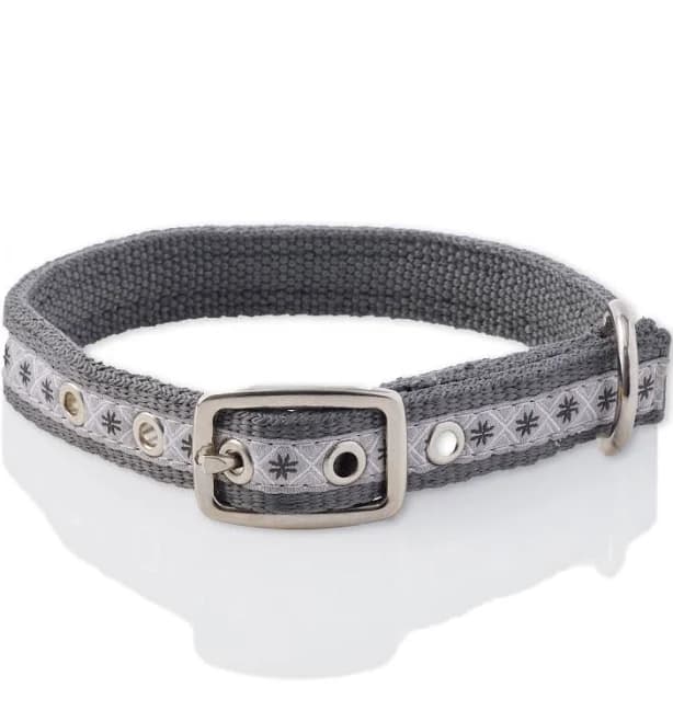 Pet Passion Gray Adjustable Dog Collar