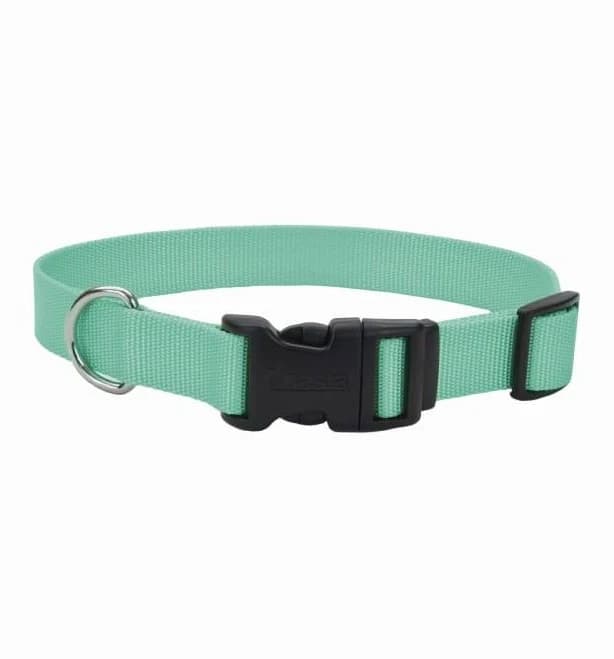 Coastal Pet Products Buckle Adjustable Dog Collar