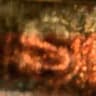 Video frame trigger