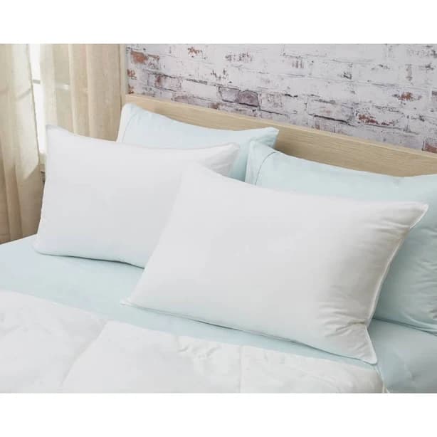 Alwyn Home Down Alternative Pillow Set of 2
