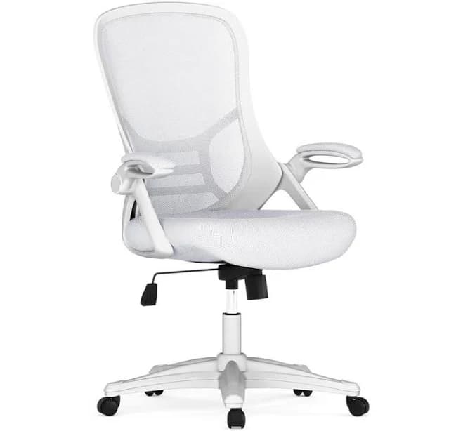 Carnegy Avenue Porter High Back Mesh Swivel Ergonomic Office Chair