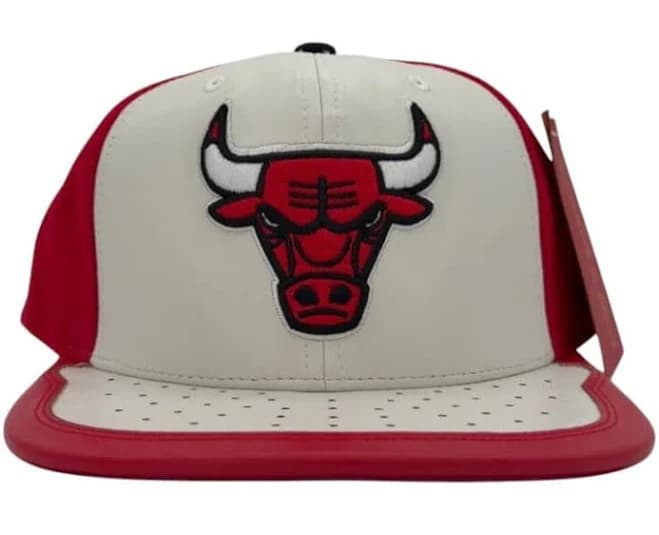 Mitchell & Ness Men's Chicago Bulls Day One Snapback Basketball Cap