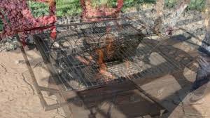 Sunnydaze Outdoor Camping or Backyard Steel Northern Galaxy Fire Pit with Cooking Grill Grate, Spark Screen, and Log Poker - 32" : Target