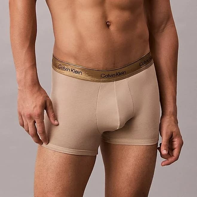 Calvin Klein Men's Icon Holiday Stretch Cotton Boxer Briefs