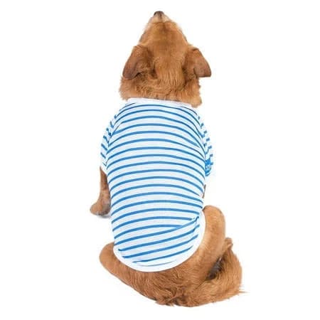 The Dodo Blue and White Striped T-Shirt