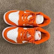 Nike | Shoes | Nike Men Sb Low Dunk Syracuse | Poshmark