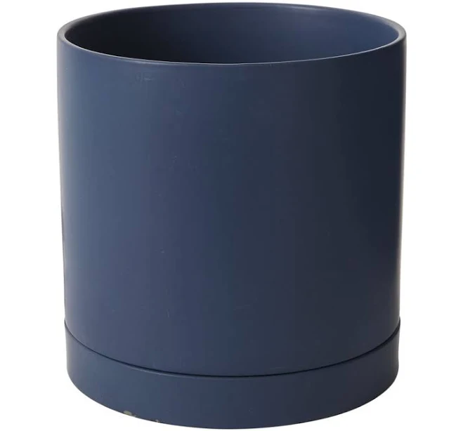 AllModern Carlotta Ceramic Pot Planter
