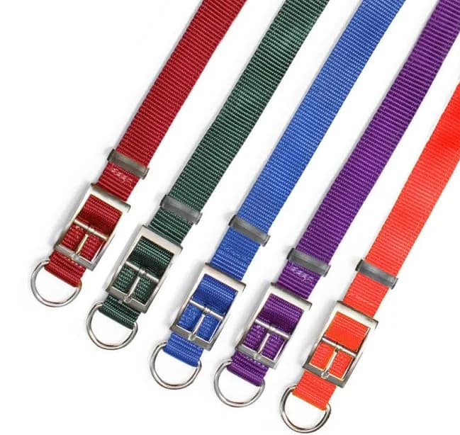 Nite Lite Double Ply Nylon 1" D-Ring in Front Dog Collar