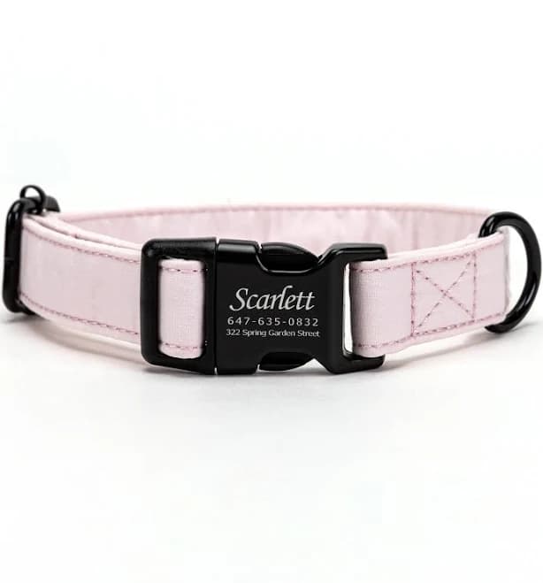 Personalized Dog Collar