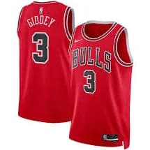 Chicago Bulls Nike Icon Edition Swingman Jersey - Red - Josh Giddey - Unisex